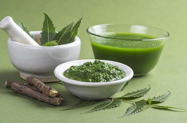 Dịch chiết neem rất hiệu quả trong việc cải thiện các vấn đề về mụn nội tiết